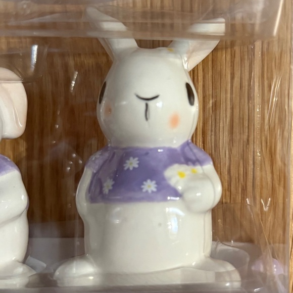 10 Strawberry Street Easter Rabbit Salt & Pepper Shakers - Picture 5 of 7